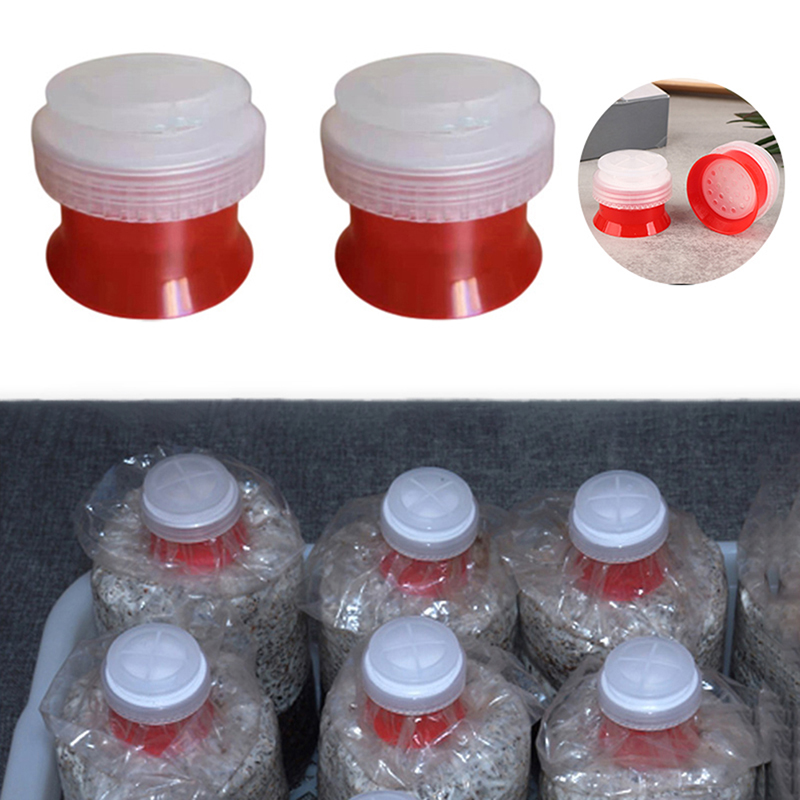 Mushroom Spawn Bag - 10 pezzi di funghi coltiva il