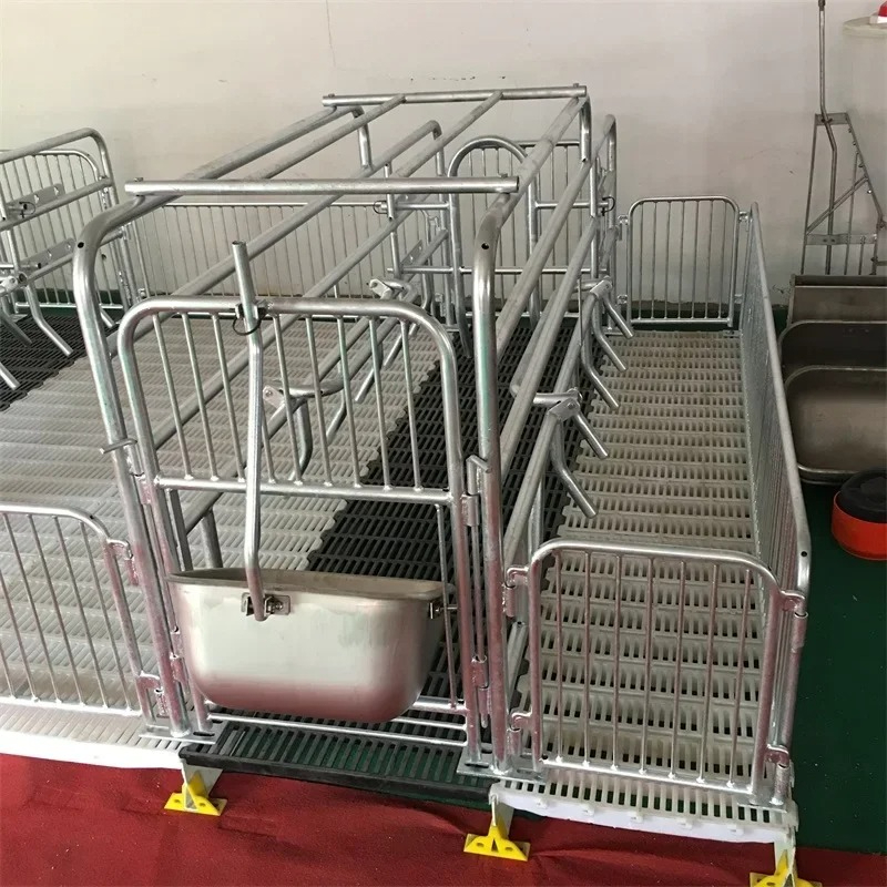 Farming Yt - Gabbie per maiali zincate Cannuccia di