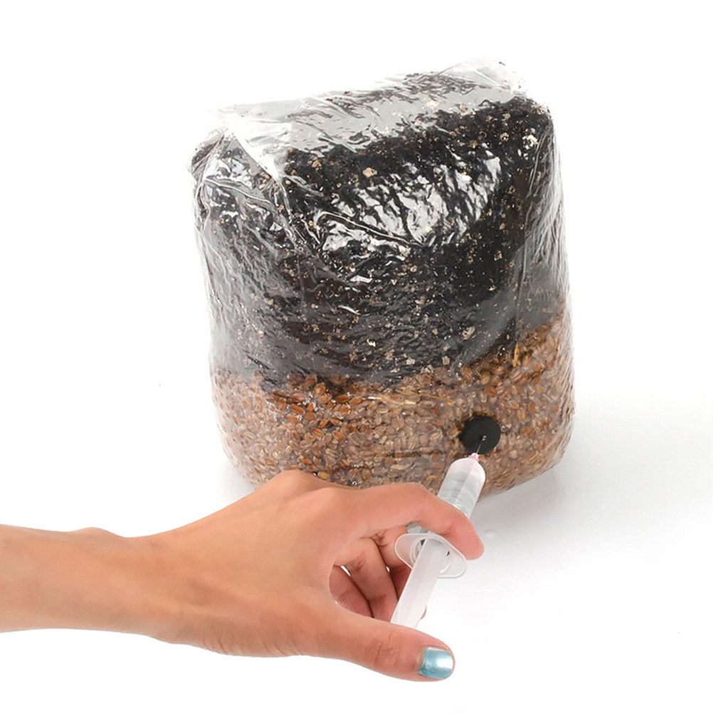 Mushroom Spawn Bag - 20 Sacchetti per la Coltivazione di