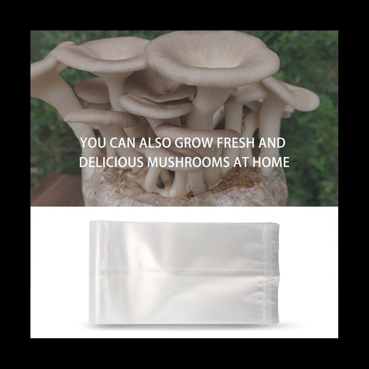 Mushroom Spawn Bag - A78I Sacchetti per funghi da 50