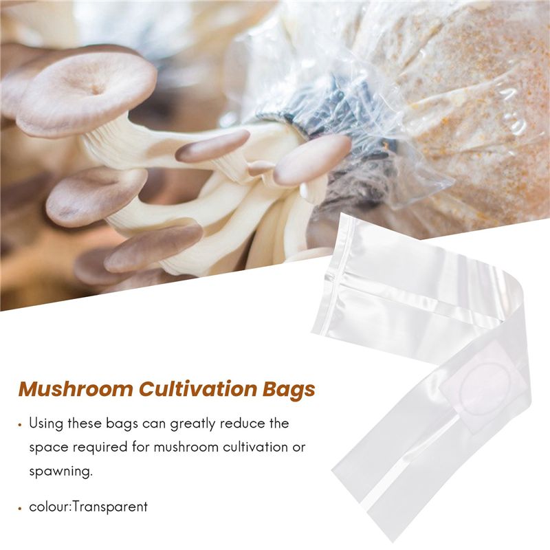 100 Sacchetti per Coltivazione - Mushroom Spawn Bag recensione e prezzo