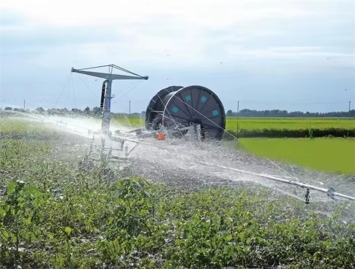 Fornitura in fabbrica Sistemi  - Agriculture Farming New Technology recensione e prezzo