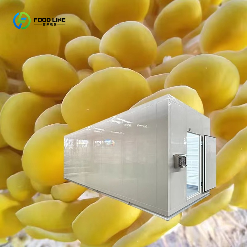 Sistema di Coltivazione Automa - Agriculture Farming New Technology recensione e prezzo