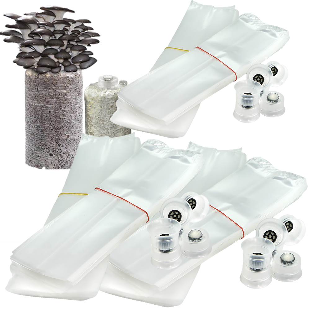 50/100PCS fungo Spawn Grow Bag - Mushroom Spawn Bag recensione e prezzo