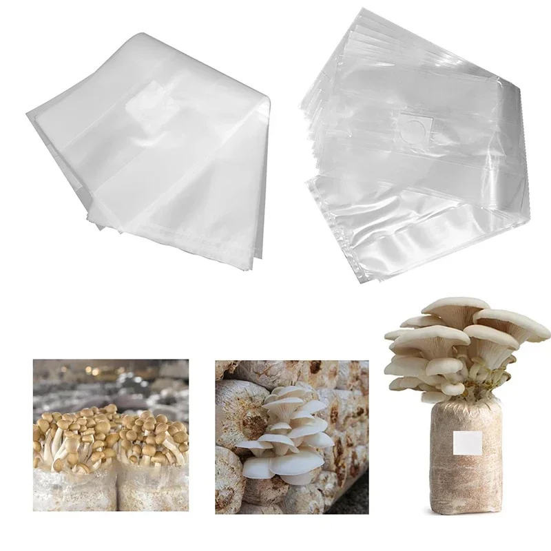 10/20 Pezzi Sacchetti per la C - Mushroom Spawn Bag recensione e prezzo