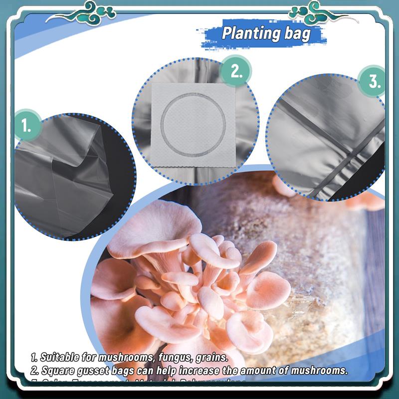 50 Sacchetti per Coltivazione  - Mushroom Spawn Bag recensione e prezzo