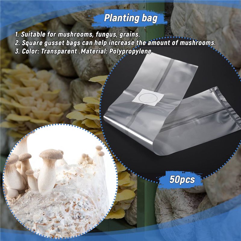 50 Sacchetti per Coltivazione  - Mushroom Spawn Bag recensione e prezzo