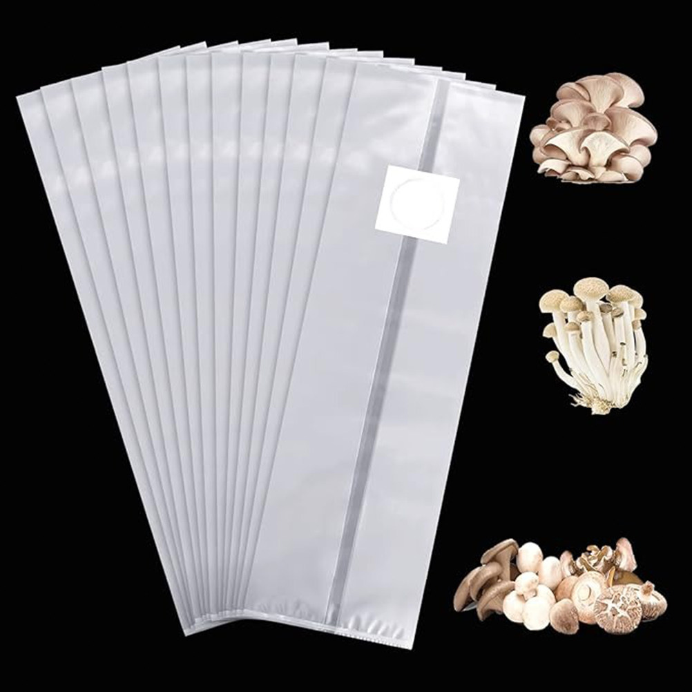 20 Sacchetti per la Coltivazio - Mushroom Spawn Bag recensione e prezzo