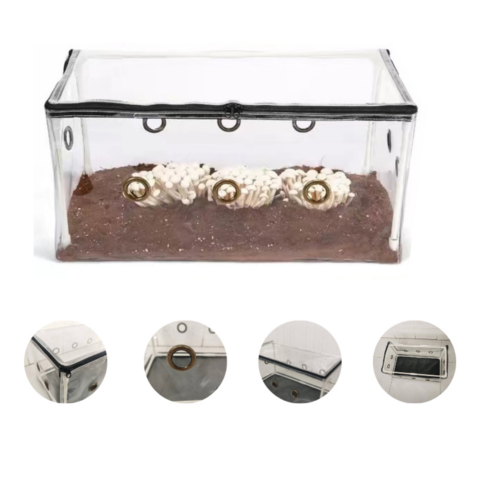 Mini serra da giardino pieghev - Mushroom Spawn Bag recensione e prezzo