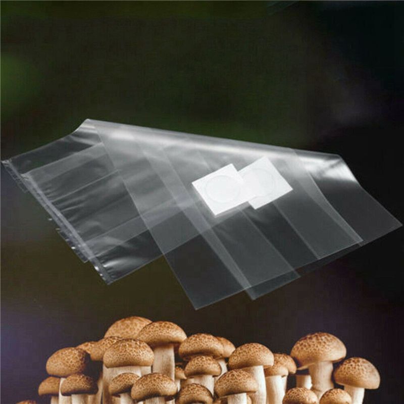 AT44-100Pz Sacchetti in PVC pe - Mushroom Spawn Bag recensione e prezzo