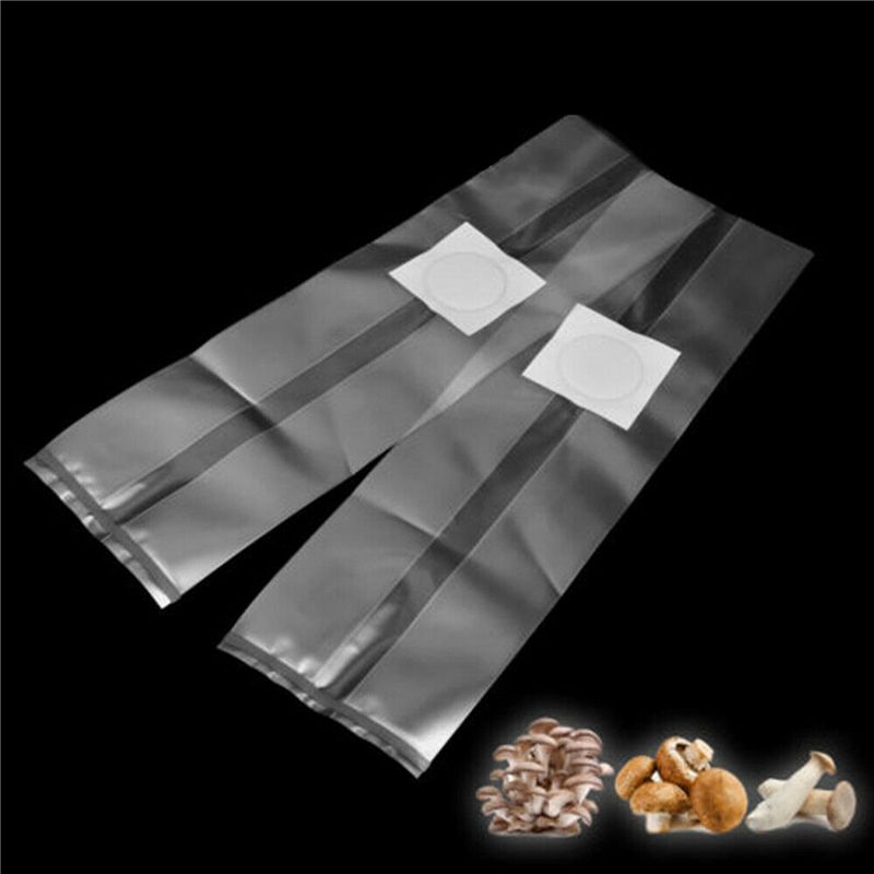 AT44-100Pz Sacchetti in PVC pe - Mushroom Spawn Bag recensione e prezzo