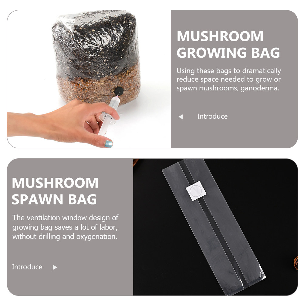 20 Sacchetti per la Coltivazio - Mushroom Spawn Bag recensione e prezzo