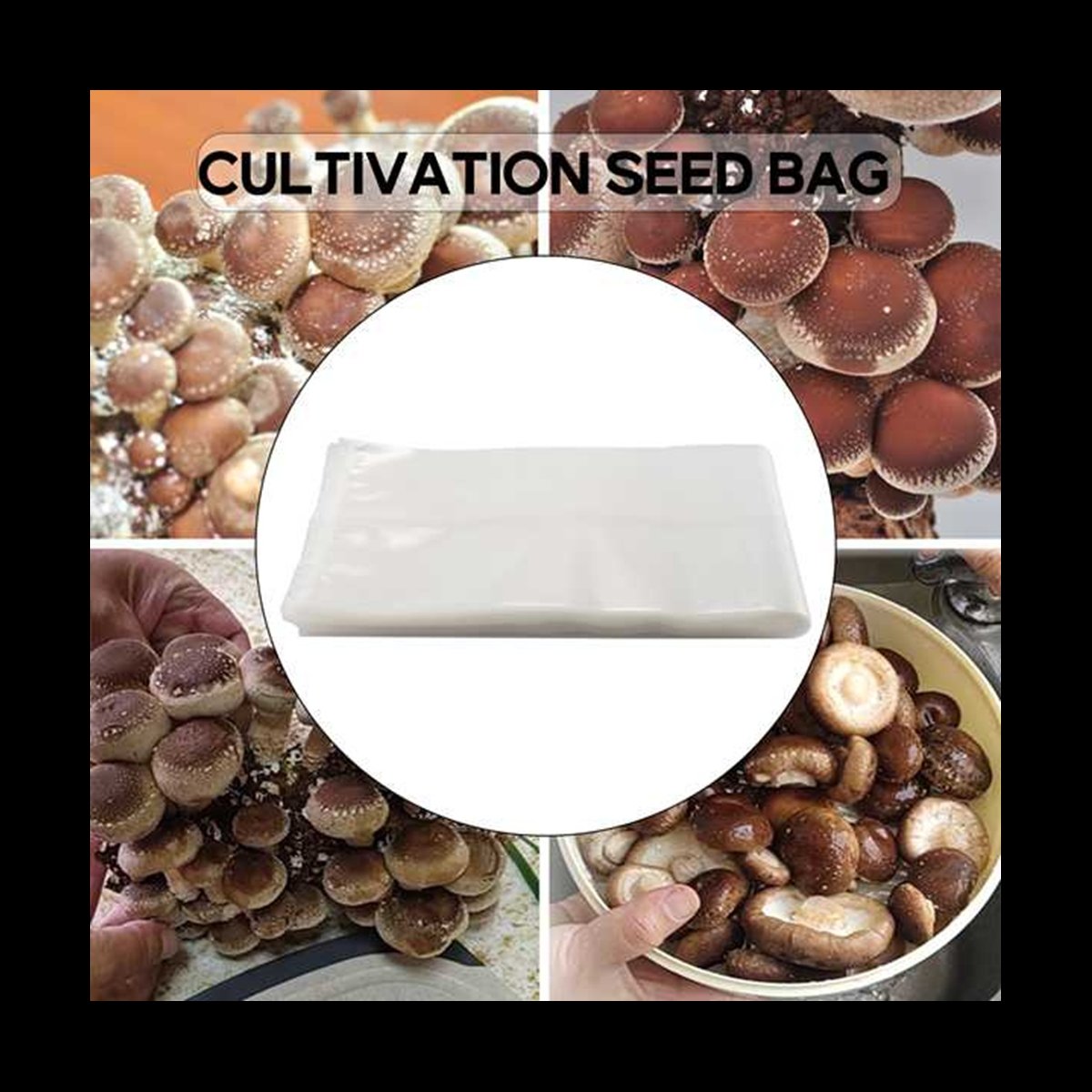 A78I Sacchetti per funghi da 5 - Mushroom Spawn Bag recensione e prezzo
